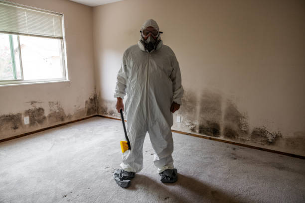 Best Certified Mold Removal  in River Oaks, TX