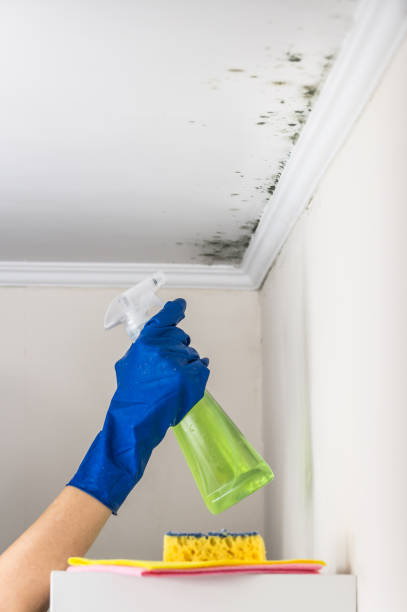 Best Crawl Space Mold Removal  in River Oaks, TX